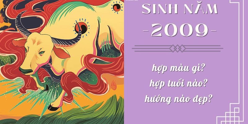 Kỷ Sửu hợp các màu đỏ, hồng, cam