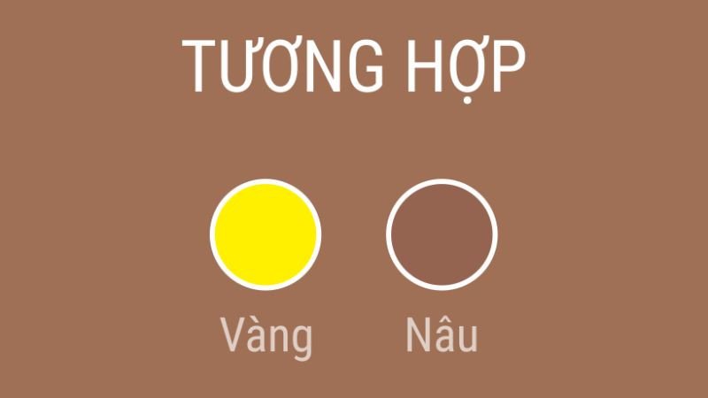 Bảng màu sắc hợp và kỵ với người tuổi Ất Sửu 1985 mệnh Kim trong phong thủy.