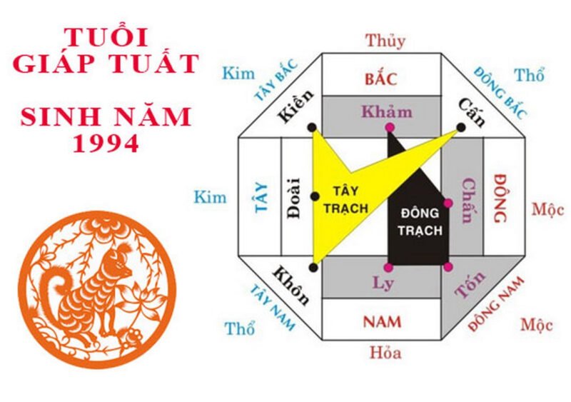 Bí Quyết Chọn Hướng Nhà Cho Nam Tuổi Tuất 1994