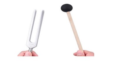 Khám Phá Các Ví Dụ Về Dao Động Tự Do Trong Đời Sống