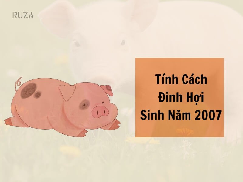 Tính cách nữ Đinh Hợi 2007