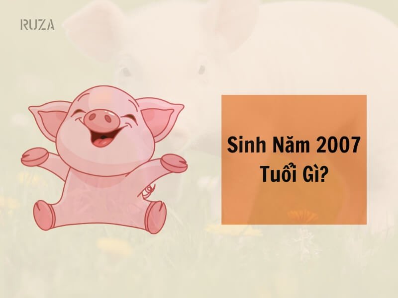 Tuổi Đinh Hợi 2007 thuộc con giáp nào