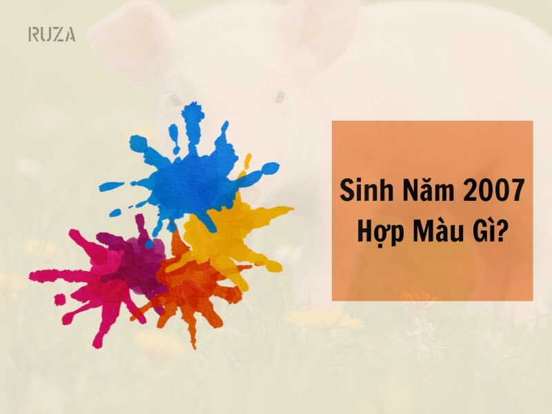 Màu sắc hợp với tuổi Đinh Hợi 2007