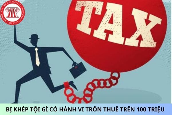 Xác Định Tội Danh Hành Vi Trốn Thuế Từ 100 Triệu Đồng Trở Lên