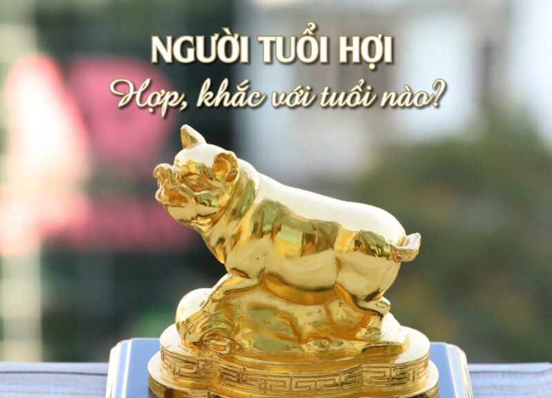 Tuổi Hợi hợp với tuổi nào để kinh doanh phát đạt