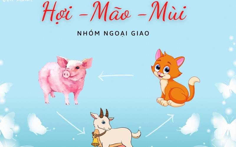 Hợi, Mão, Mùi – nhóm tam hợp ngoại giao, biểu trưng cho sự khéo léo và thấu hiểu.
