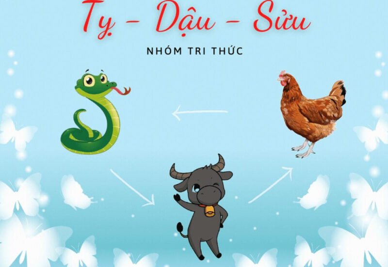 Hình ảnh tượng trưng cho nhóm tam hợp Tỵ, Dậu, Sửu, biểu thị sự quyết đoán và kiên định.