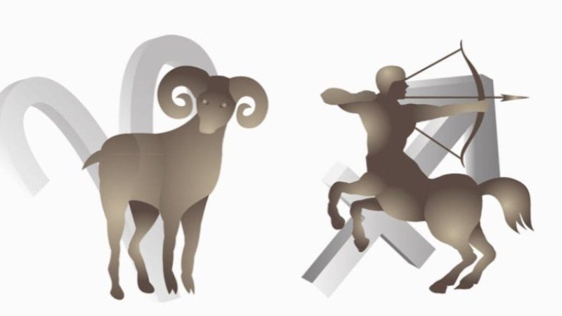 Người Nhân Mã suy tư giữa không gian làm việc