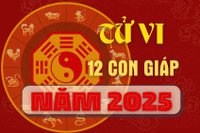 Tử vi 12 con giáp năm 2025, tổng quan về tài lộc