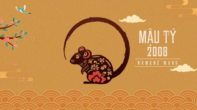 Tìm hiểu tính cách người sinh năm Mậu Tý 2008