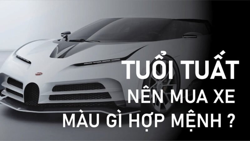 Màu sắc xe hợp phong thủy tuổi chó giúp làm ăn phát tài