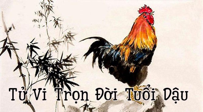 Bức tranh tổng quan về tử vi trọn đời tuổi Tân Dậu qua các giai đoạn