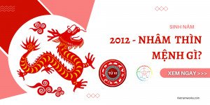 2012 Là Tuổi Con Gì? Khám Phá Vận Mệnh Nhâm Thìn