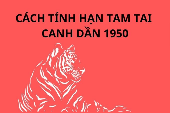 Cách hóa giải hạn Tam Tai cho 1950 là tuổi con gì