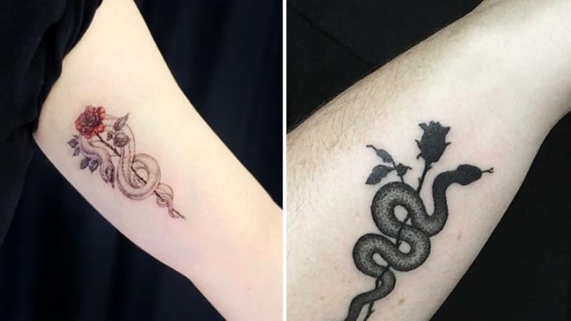 Hình xăm rắn và hoa hồng thể hiện sức sống mãnh liệt