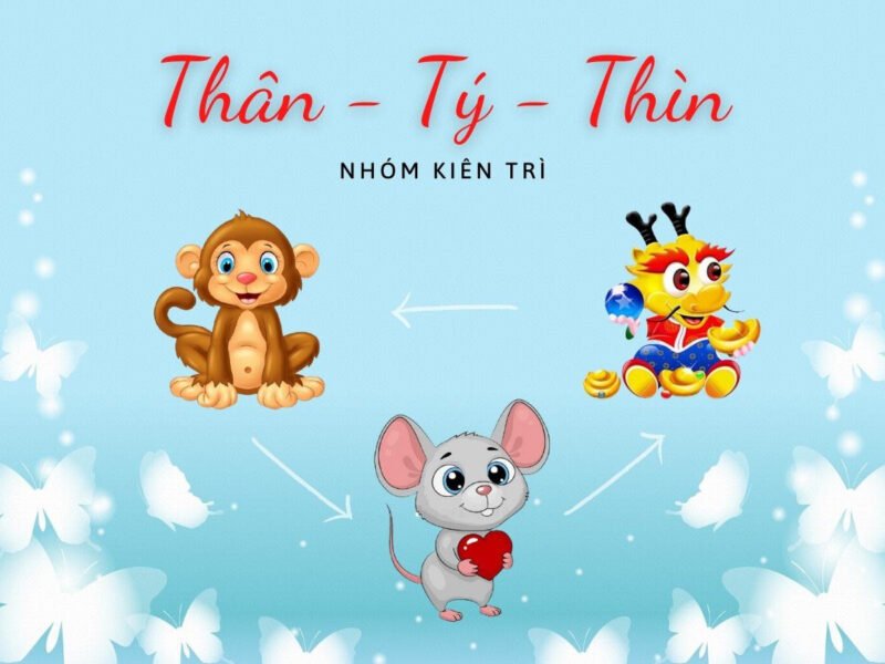 Giải Mã **Tam Hợp Với Tuổi Tuất**: Vận Mệnh Cát Lành