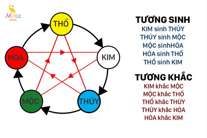 Bố mẹ tuổi Rồng sinh con tuổi Rắn: Phân tích Ngũ hành