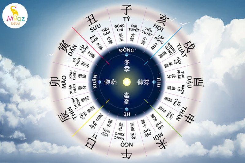Sự tương hợp Địa chi giữa bố tuổi Rồng và con tuổi Rắn