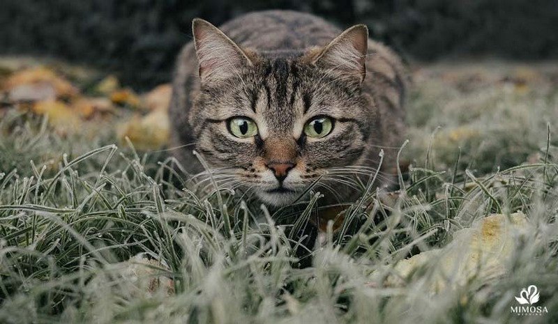 Sinh năm 1999 hợp tuổi nào làm ăn