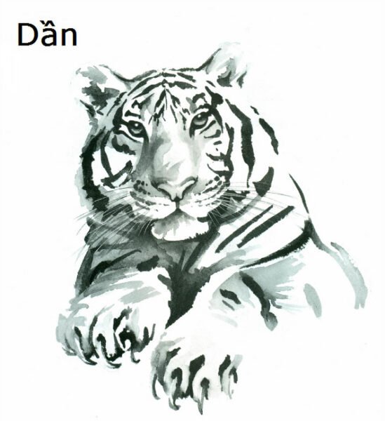 Tuổi Dần Hợp Màu Nào Để Thu Hút Vượng Khí, Tài Lộc?