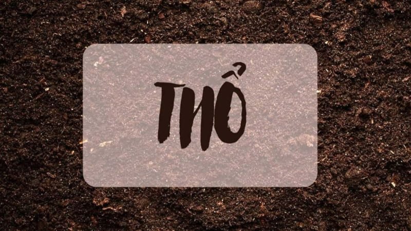 Chân dung người sinh năm 1976 với khí chất kiên định và trung thực