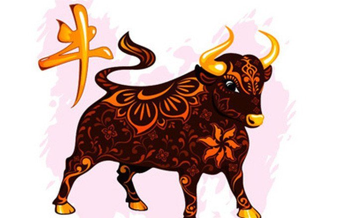 Tuổi Trâu Hợp Với Tuổi Gì: Bí Quyết Hạnh Phúc Viên Mãn