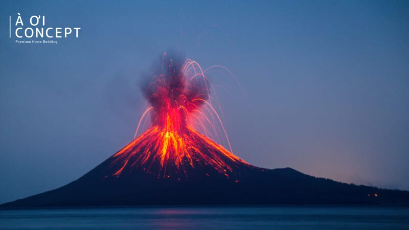 Tuổi 1994 Hợp Màu Gì? Giải Mã Phong Thủy Mang Lại Vượng Khí