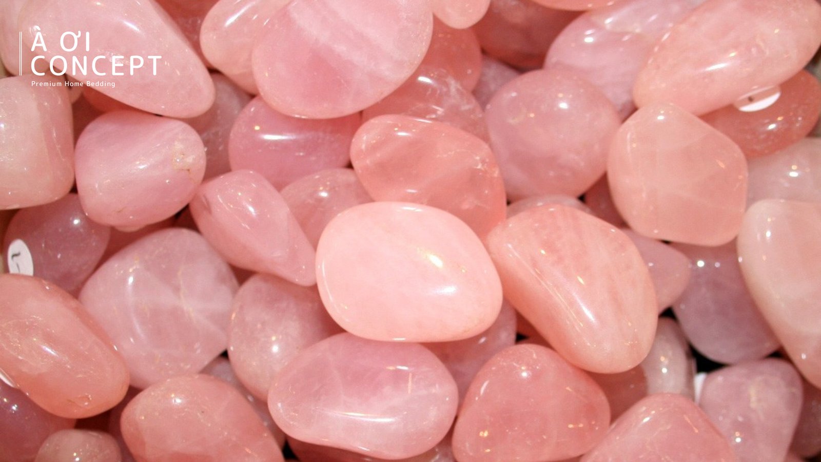 Tuổi 1994 Hợp Màu Gì? Giải Mã Phong Thủy Mang Lại Vượng Khí