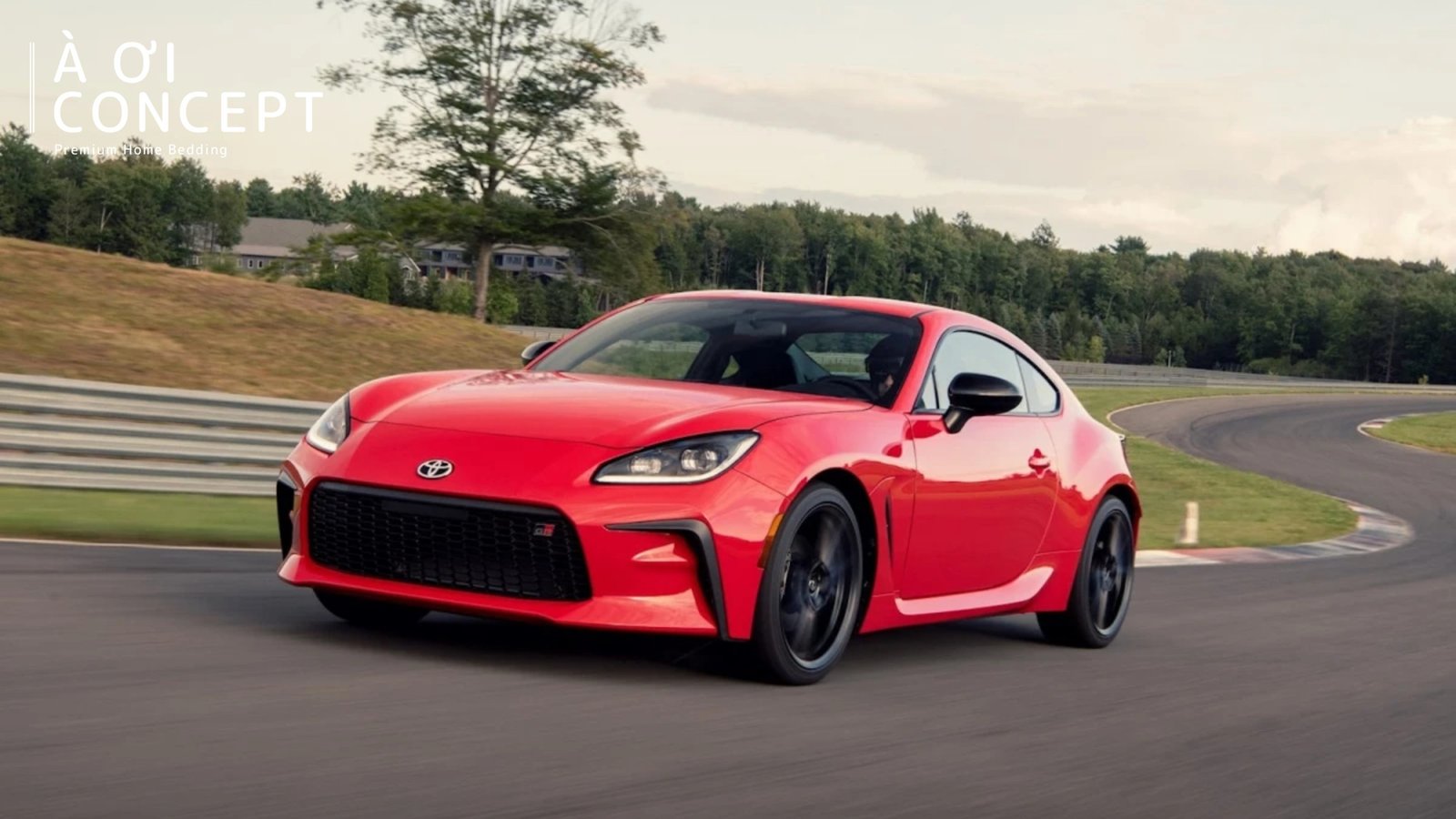 1998 Mệnh Gì Hợp Màu Gì: Bí Quyết Thu Hút Vượng Khí