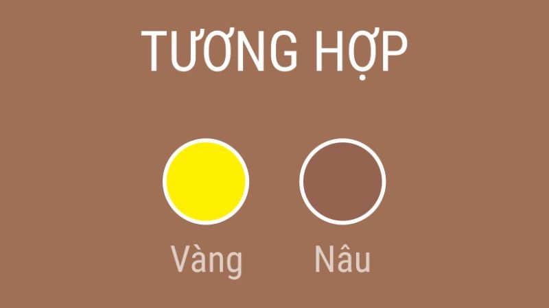 Màu sắc phong thủy phù hợp với người sinh năm 1985 mệnh Kim