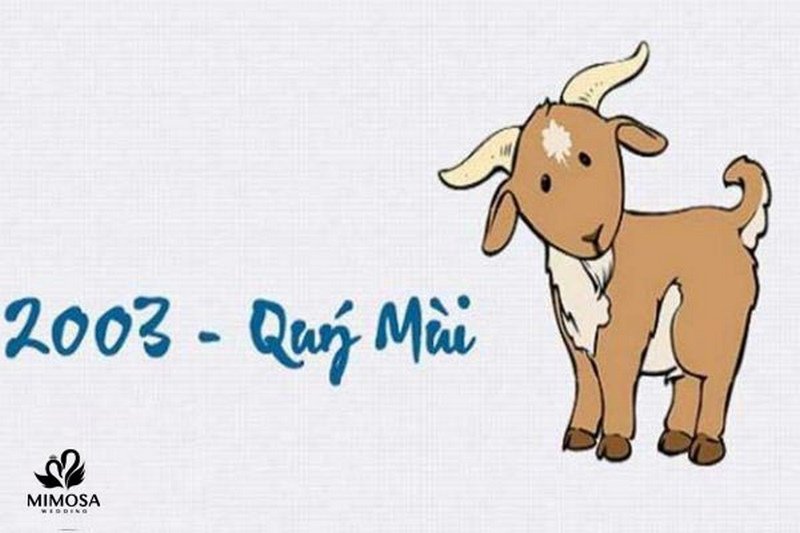 nam 2003 hợp với tuổi nào