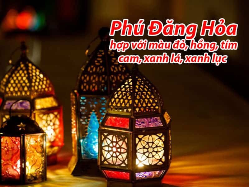 phu dang hoa hop mau do hong tim xanh la