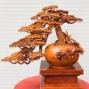 Bình tùng bonsai gỗ hương
