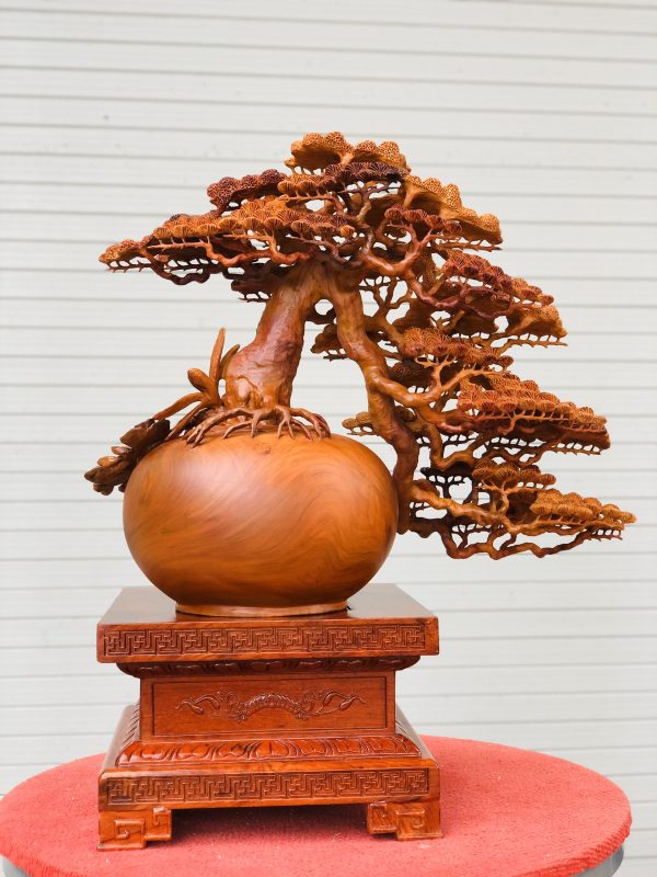 Bình tùng bonsai gỗ hương