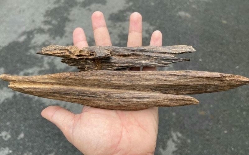 Điểm danh một số loại gỗ nặng chìm trong nước phổ biến