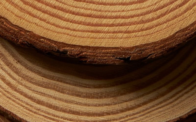 Ứng dụng phong thủy của gỗ tứ thiết trong không gian sống hiện đại