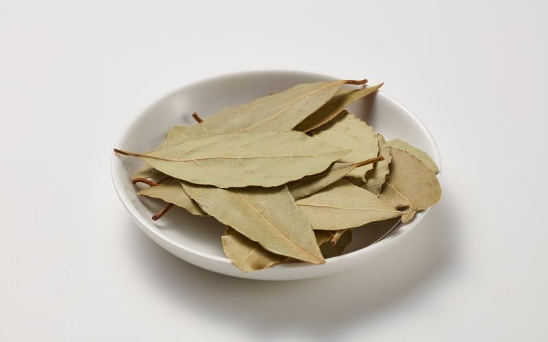 Hình Nền Lá Nguyệt Quế Hợp Mệnh Gì_ Giải Mã Tương Sinh, Tương Khắc