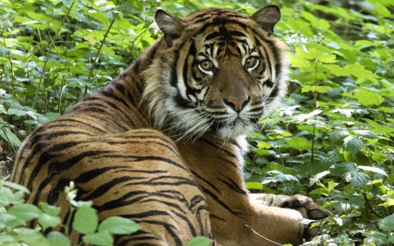 Hoạt Động Và Sở Thích Giúp Phát Triển Toàn Diện Người Sinh Năm 2034