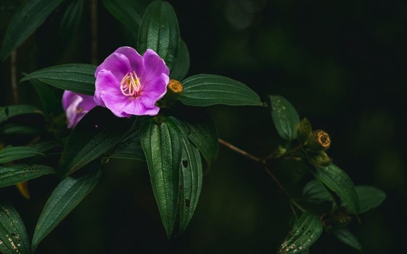 Lời Khuyên Phong Thủy Khi Đặt Tên Có Sự Tương Khắc Ngũ Hành