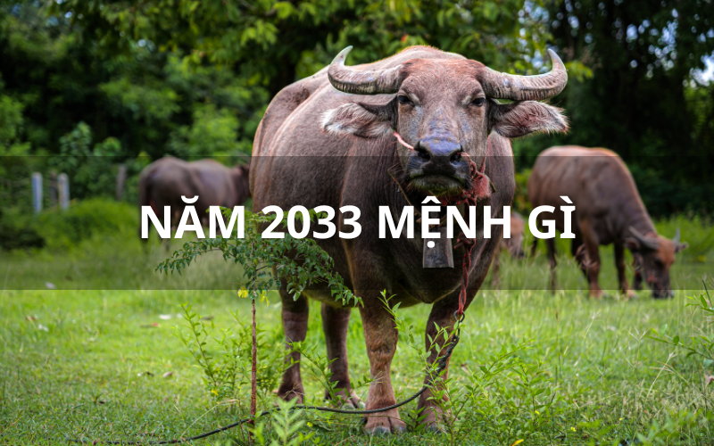 Năm 2033 Mệnh Gì