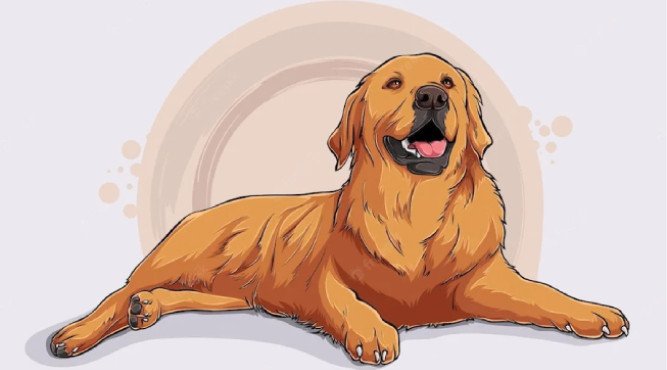 con số may mắn cho tử vi giáp tuất hôm nay