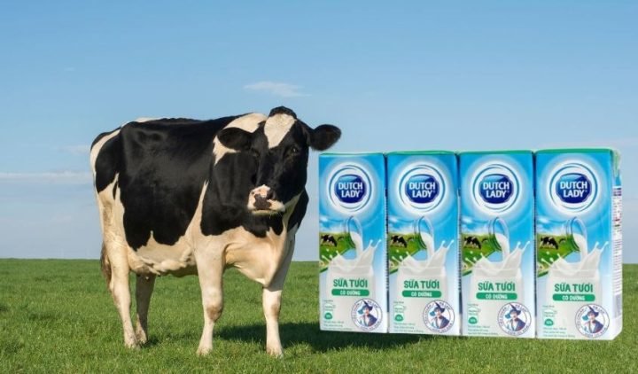 Lốc 4 hộp sữa tươi Dutch Lady có đường 180ml