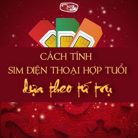 Hình ảnh một người đàn ông đang chăm chú nhìn vào chiếc điện thoại, thể hiện sự quan tâm đến cách tính sim điện thoại hợp tuổi dựa theo tứ trụ
