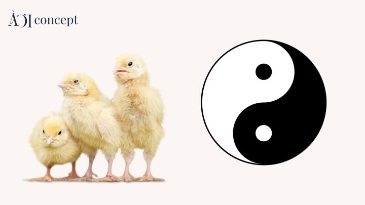 Tuổi Dậu 1981 Hợp Màu Gì: Bí Quyết Thu Hút May Mắn Và Tài Lộc