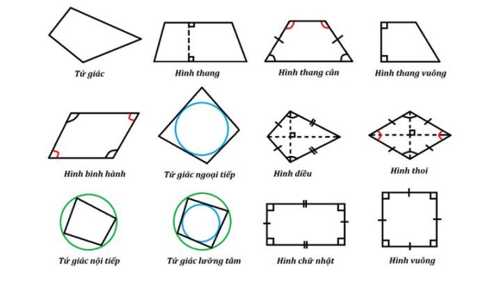 Các loại hình tứ giác phổ biến: hình vuông, chữ nhật, bình hành, thang, thoi