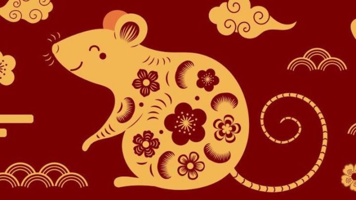 Bí Mật Tử Vi: **Sn 96 Tuổi Con Gì** Và Hành Trình Cuộc Đời Bính Tý