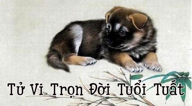 Luận giải tử vi trọn đời người tuổi Canh Tuất theo phong thủy