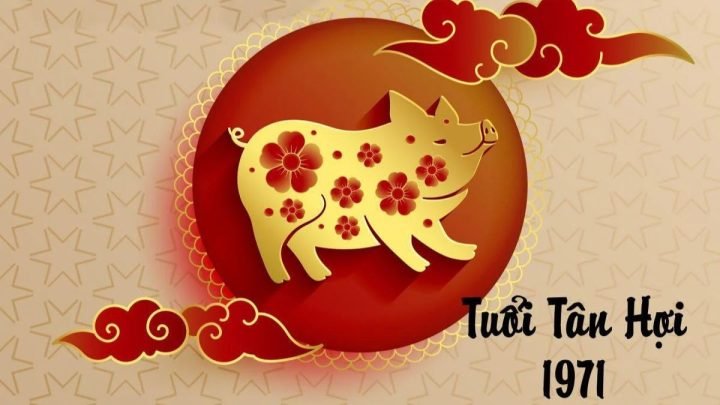 Khám Phá Năm 1971 Tuổi Con Gì và Vận Mệnh Người Tân Hợi
