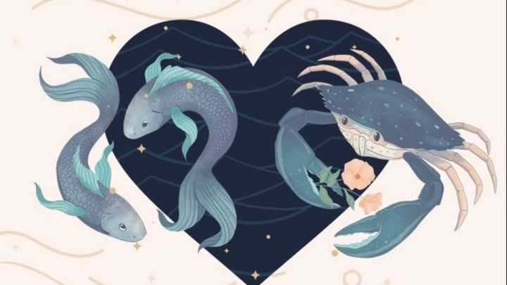 Cung Song Ngư sinh ngày 1/3 hòa hợp với những cung hoàng đạo nào trong tình yêu và tình bạn