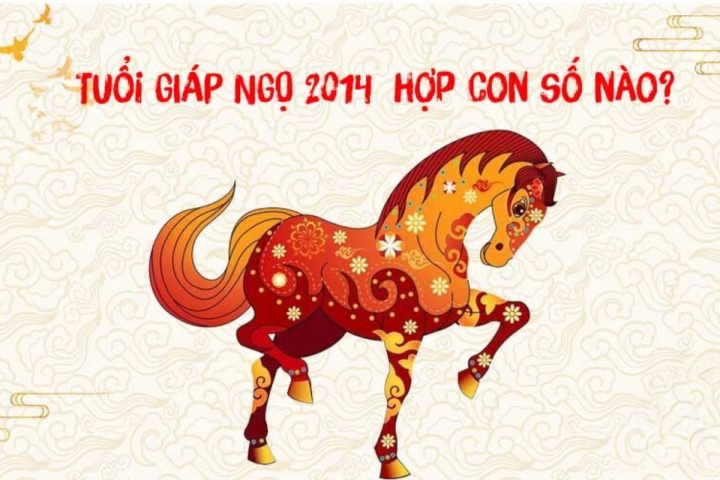 Các con số may mắn hợp mệnh với nam và nữ Giáp Ngọ 2014